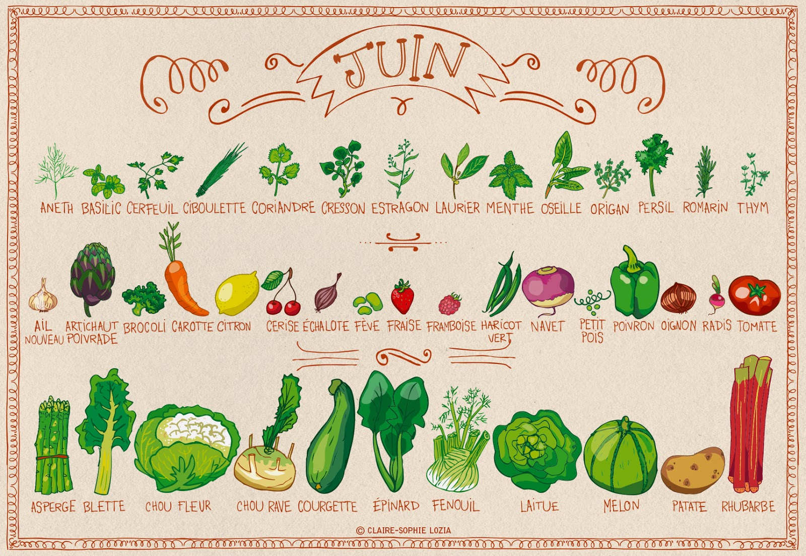 Calendrier fruits et légumes de juin