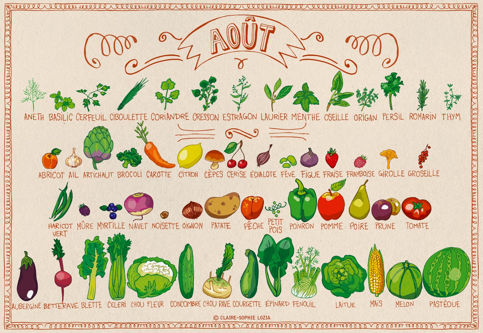 Calendrier fruits et légumes de août