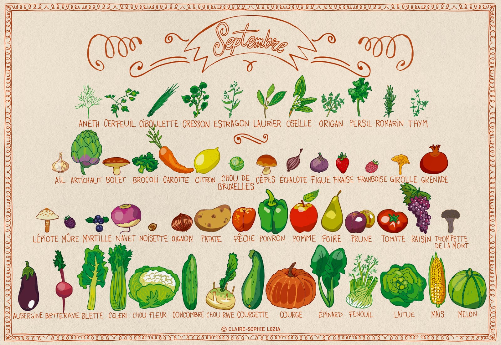 Calendrier fruits et légumes de septembre