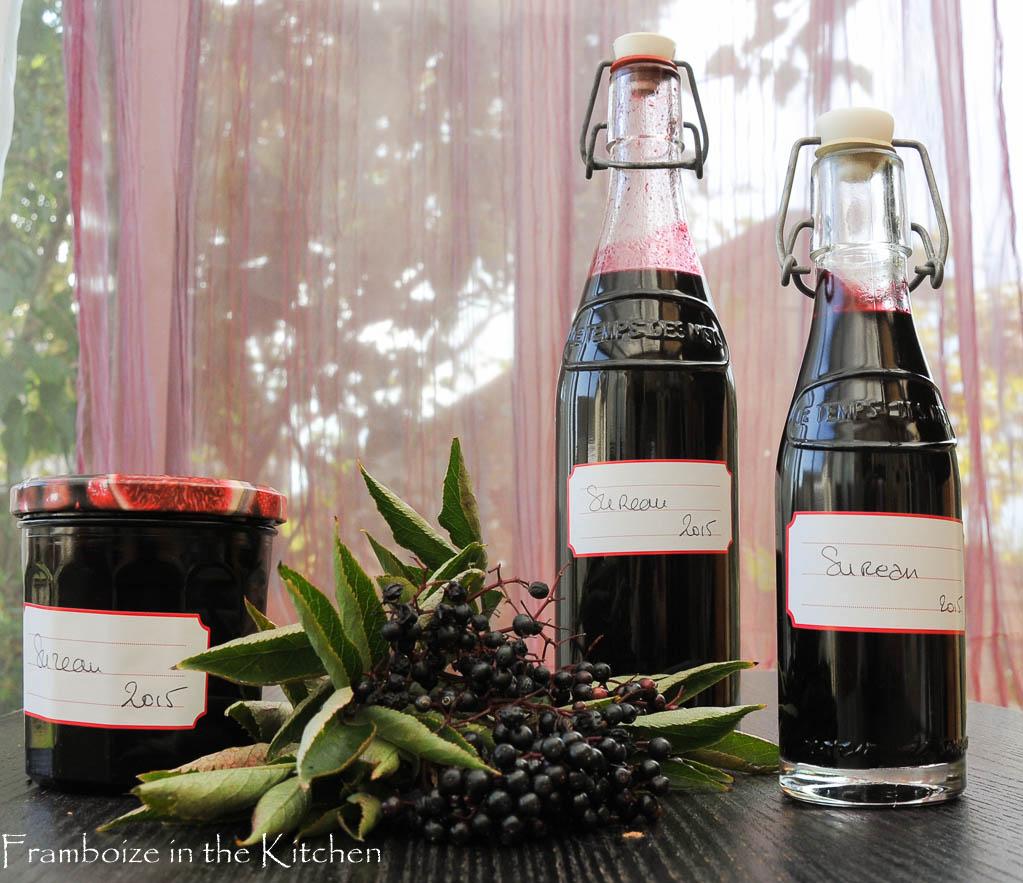 Sirop de baies noires de sureau