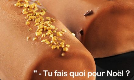 Les bûches de Toupargel signées Philippe Gauvreau