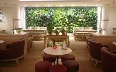 vapiano-7