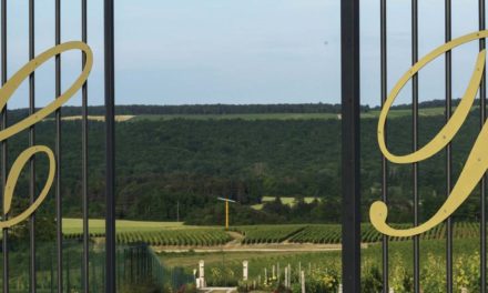 L’offre oenotouristique de la maison Gremillet