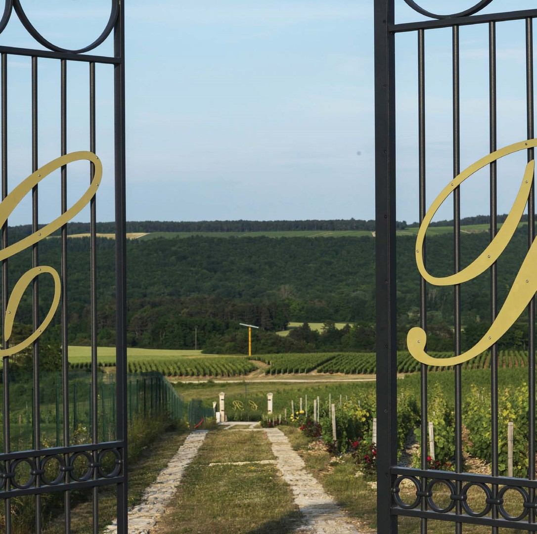Champagne Gremillet domaine Champagne Gremillet domaine