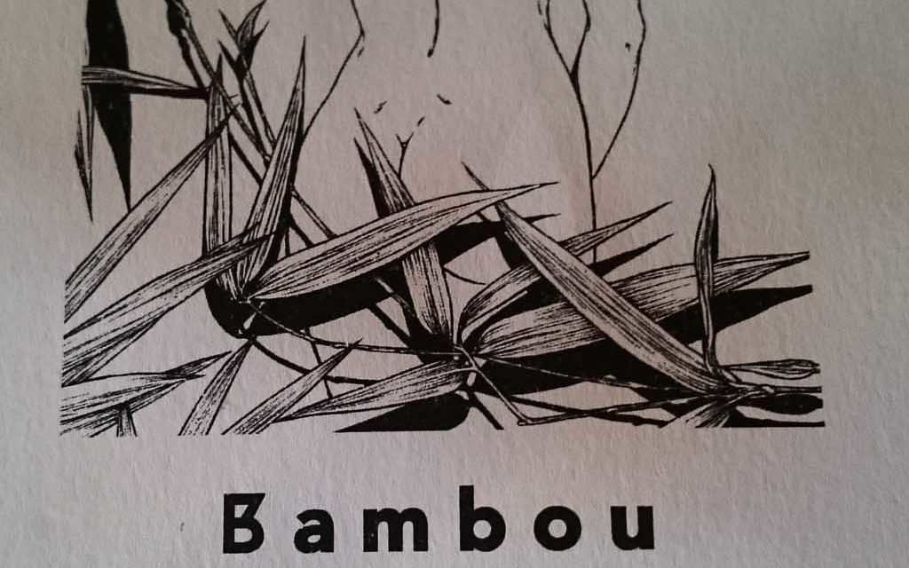 Bambou, un thaï dans le centre de Paris