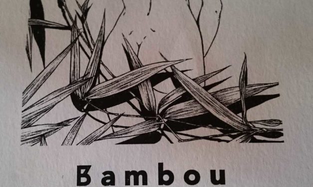 Bambou, un thaï dans le centre de Paris