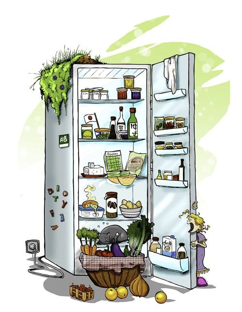 Ranger Ses Aliments Dans Refrigerateur