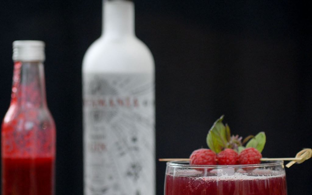 Cocktail, Gin Tonic Framboises