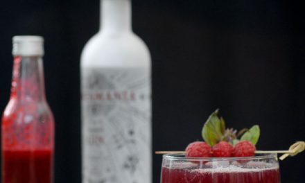 Cocktail, Gin Tonic Framboises