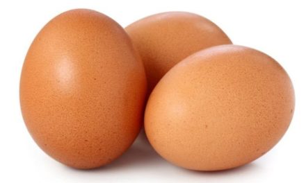 Tout savoir sur les oeufs, ou presque