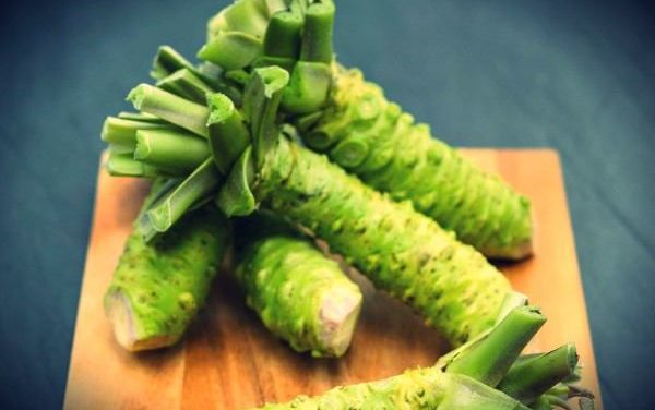 Wasabi, tout savoir sur cette plante