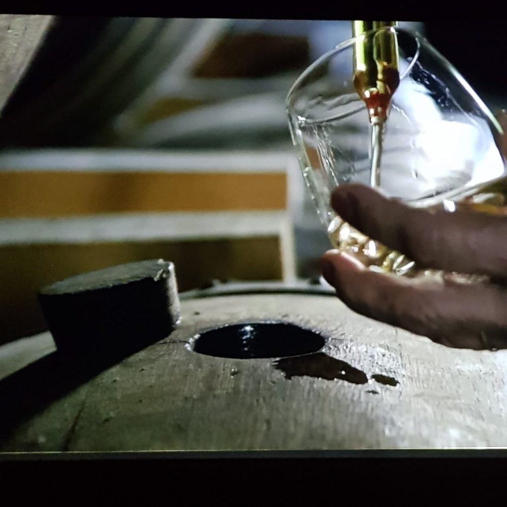 Film calvados experience