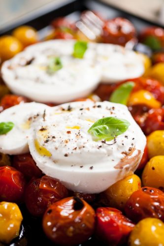 tomates rôties et mozzarella burrata di buffala