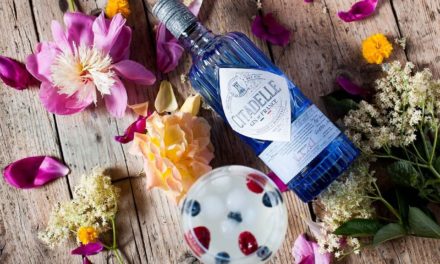 Cocktail : Gin to’ au sirop de fleurs de sureau avec le Gin Citadelle