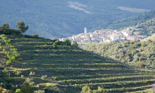 Mes bons plans découvertes dans le Priorat en Catalogne.