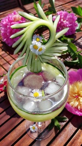 concombre tomate gin tonic-8