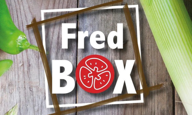 J’ai testé la FRED BOX