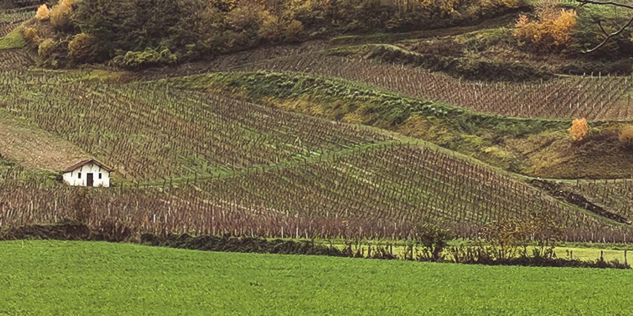 Voyage gourmand vers les vins du Jura